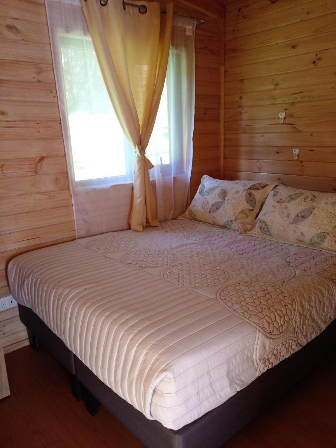 Lodge Eco Wanderlust *